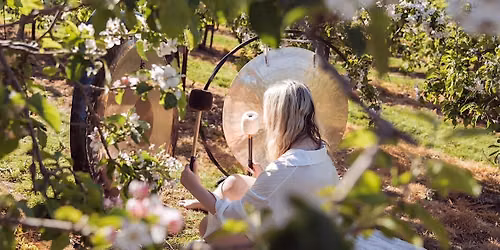 Lavender Fields Sound Experience