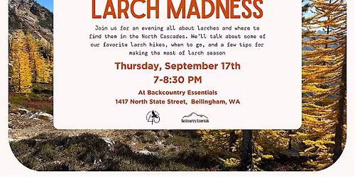 Ready, Set, Explore! : Larch Madness