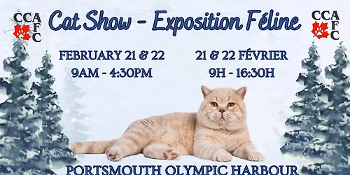 2026 Kingston Cat Show - Exposition F\u00e9line