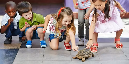 Early Learning Connections