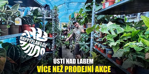 Matěj z HAPPYPLANT 🌿 Pokojovky přímo ze skleníku🔥ÚSTÍ NAD LABEM