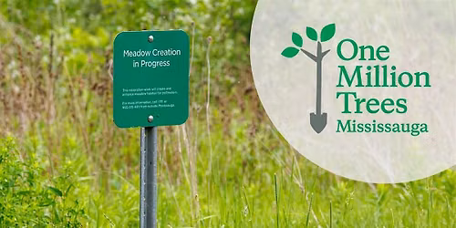 One Million Trees Wildflower Plug Planting Event at Jack Darling Park