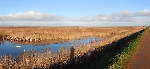 Life Changing: Way markers of mid-winter