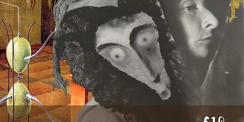 She's and They's in art history: Remedios Varo