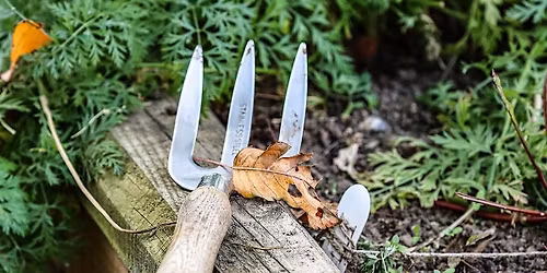 Vegetable and Square Foot Gardening