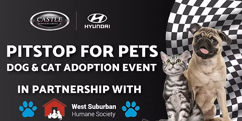 PitStop For Pets at Castle Hyundai of Downers Grove