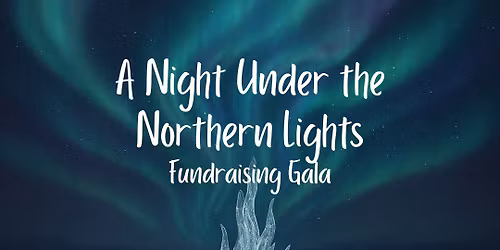A Night Under the Northern Lights; WPA Booster's Frozen Inspired Gala