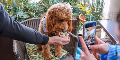 COCKAPOO CAFE - BIRMINGHAM