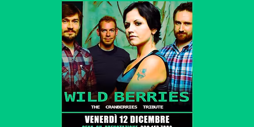 TRIBUTO THE CRANBERRIES \u2b50\ufe0f The Bank Monza