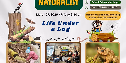 The Mighty Naturalist - Life Under a Log