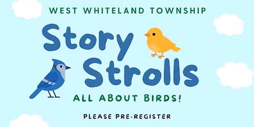 Story Stoll - Birds!