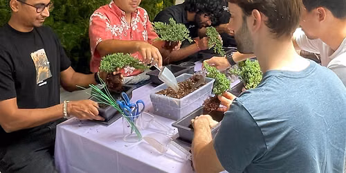 Introduction to the Art of Bonsai