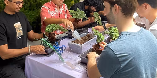 Introduction to the Art of Bonsai