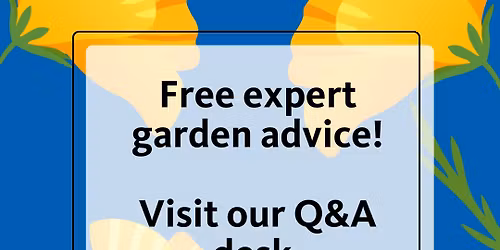 Question & Answer Table at Lowe's