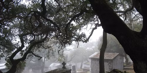 Fall Sonoma 'Mountain Cemetery' tour