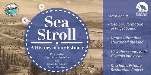 Sea Stroll: A History of our Estuary