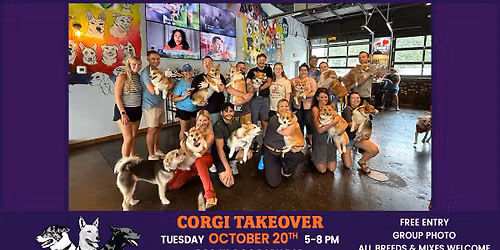 Corgi Takeover