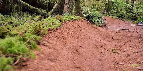 Public Trail Day - Dreamweaver