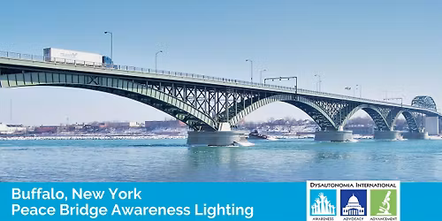 Buffalo, New York - Peace Bride Dysautonomia Awareness Month Lighting
