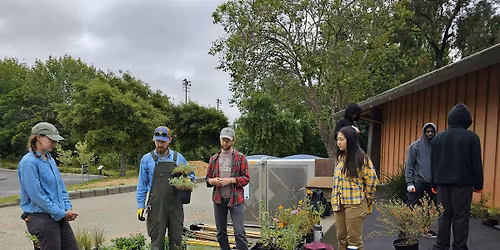 Baxter Creek Community Day: Native Plants, Birding, Cleanups, and More!