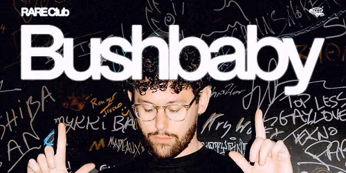 Rare presents Bushbaby
