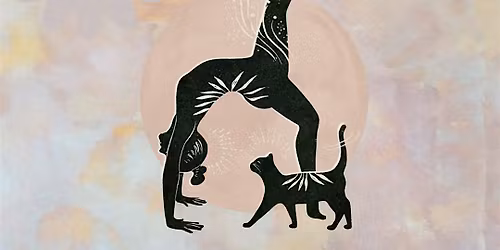 Kitten Yoga benefiting the Friends Of The Wake County Animal Center