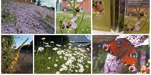 SDH Nature Walk - June