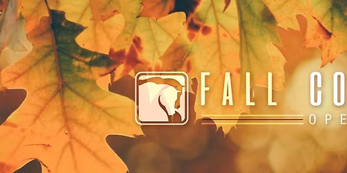 WAHA Fall Colors Open Horse Show