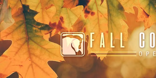 WAHA Fall Colors Open Horse Show