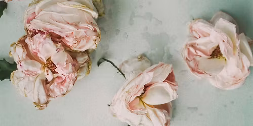 Death and the Therapist