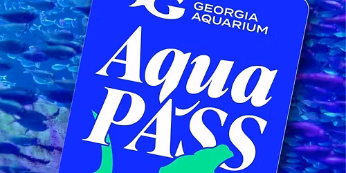 The Aquarium