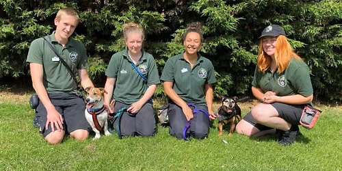 Take a Tour of Cheltenham Animal Shelter in 2026!