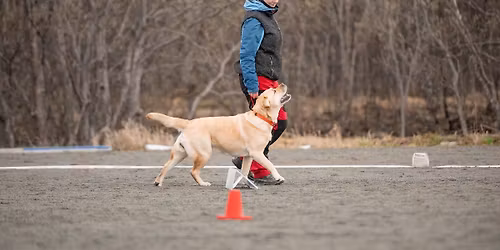 RALLY LYDIGHET WORKSHOP