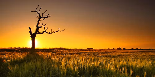 The Ecology of Climate Change with Brian Eversham