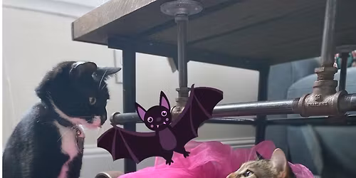 The ANNUAL AcroBATS \ud83e\udd87,Crafting \ud83c\udfa8,& CATS\ud83d\ude3b\ud83d\ude3b!