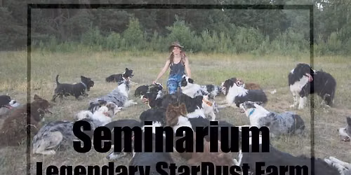 Seminarium Legendary StarDust Farm z Magd\u0105 Michalsk\u0105