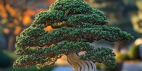 Discover the Art of Bonsai: Create Your Own Living Masterpiece