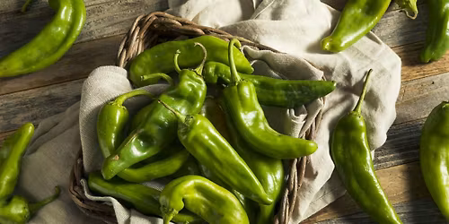 Meatless Meals with Hatch Chiles