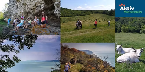 \ud83c\udf3f Ny\u00e1ri k\u00f6rt\u00fara a Tihanyi-f\u00e9lszigeten \ud83c\udf3fkeszegev\u00e9s, fr\u00f6ccs, csobban\u00e1s