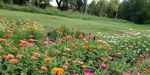 Flower Farm Minis