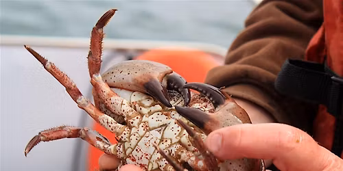 Introduction to Crustaceans