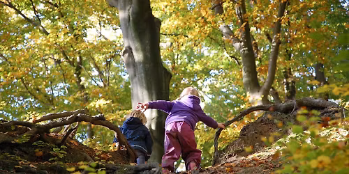 Le\u015bny spacer dla dzieci i ognisko, 30.11 (niedziela)
