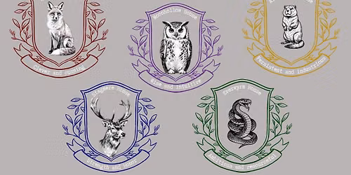 Magic School Inspired Experience
