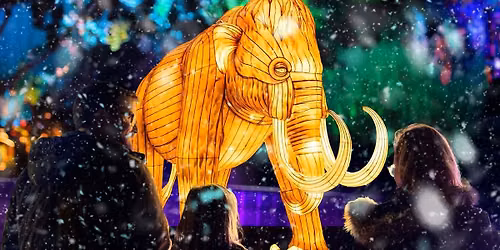 Universal Kingdom: Ice Age | Illuminate Adelaide