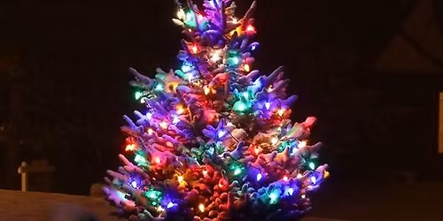 Christmas Light Switch On