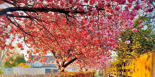 Kirkliston CC September 2026 Meeting