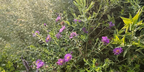 Celebrating Earth Day With the Carroll County Master Gardeners