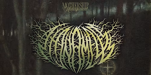 HALLCORE \/\/ THE NAMELESS \/\/ TORMENT \/\/ ACCELERATED SUFFERING