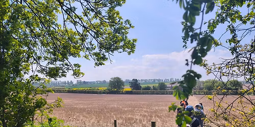 Wellbeing Walk: Cliffe Woods