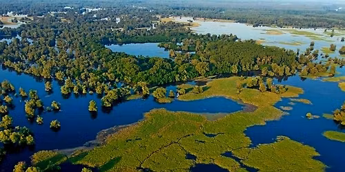 \u201dEvropski Amazon\u201d - Specijalni rezervat prirode \u201eGornje Podunavlje\u201c, Ba\u010dki Mono\u0161tor